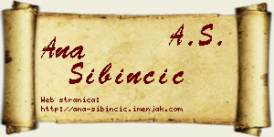 Ana Sibinčić vizit kartica